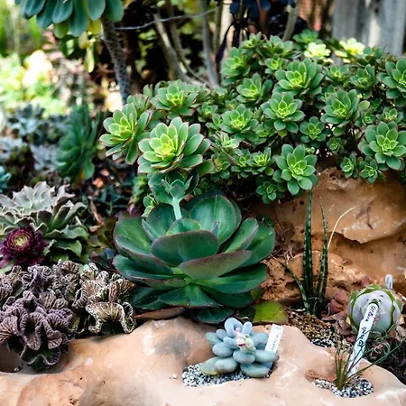 Irina Apartment Paloznak