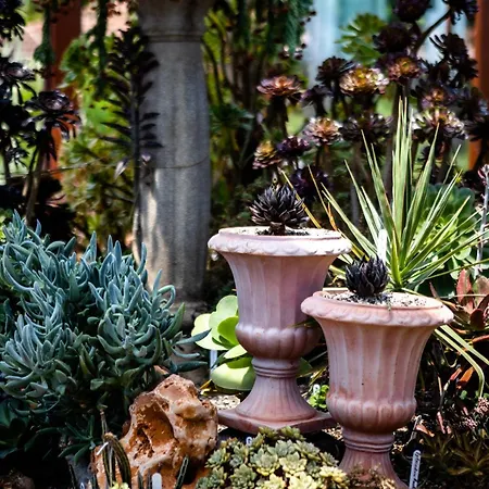 Διαμέρισμα Irina *