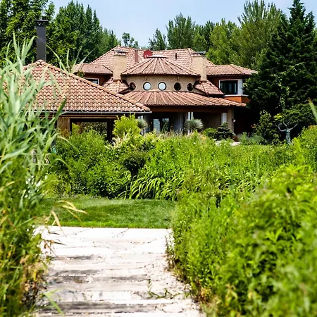 Apartment Irina Paloznak