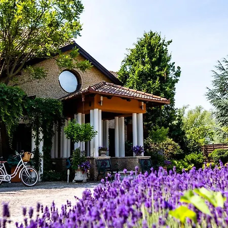 Irina Apartment *