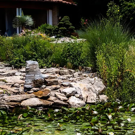 Irina Апартаменты *