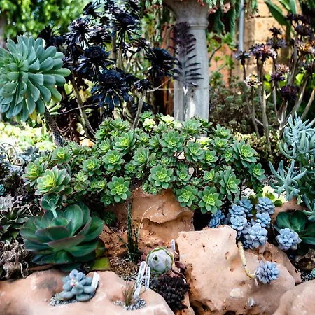 Irina Διαμέρισμα *