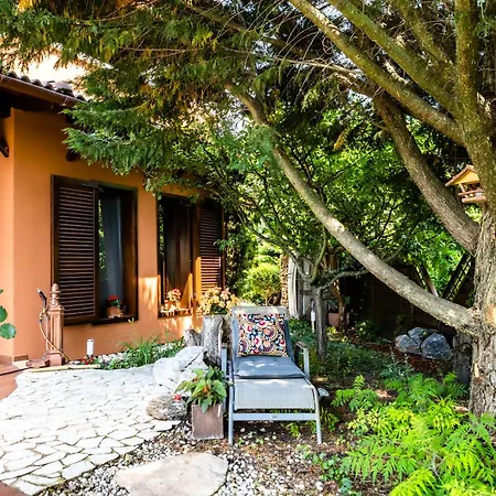 Irina Палознак