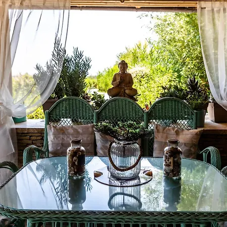 Apartment Irina Paloznak