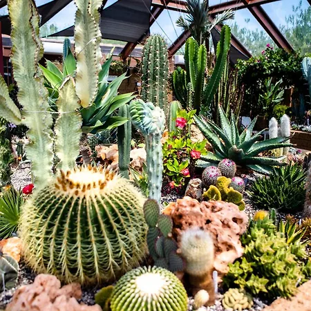 Irina Διαμέρισμα *