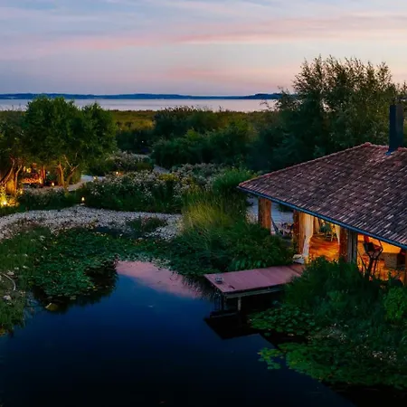 Irina Палознак