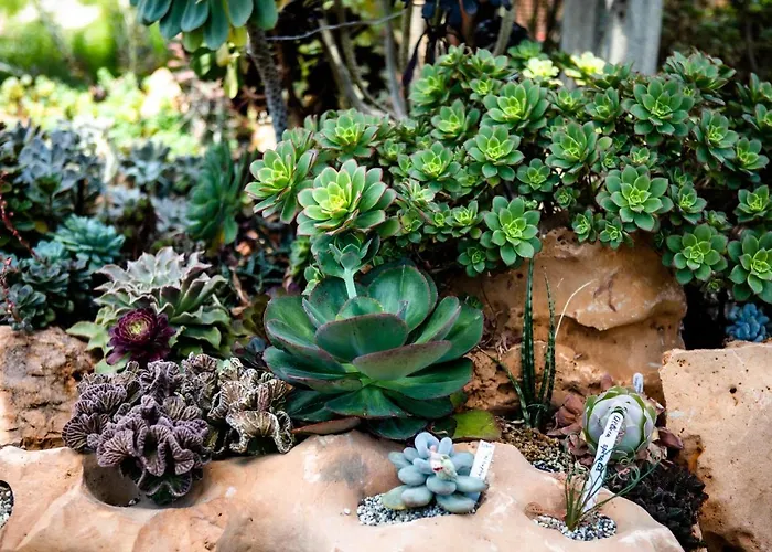 Irina 아파트 펄로즈너크