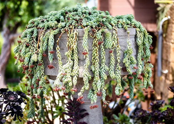 아파트 Irina 펄로즈너크