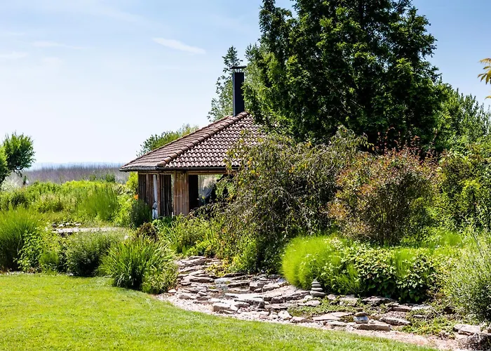 Irina 펄로즈너크